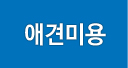 애견미용