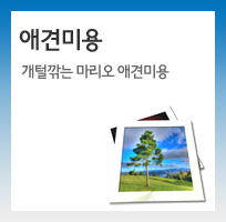 애견미용