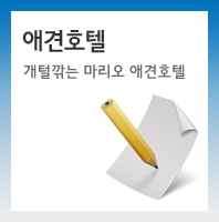 애견호텔